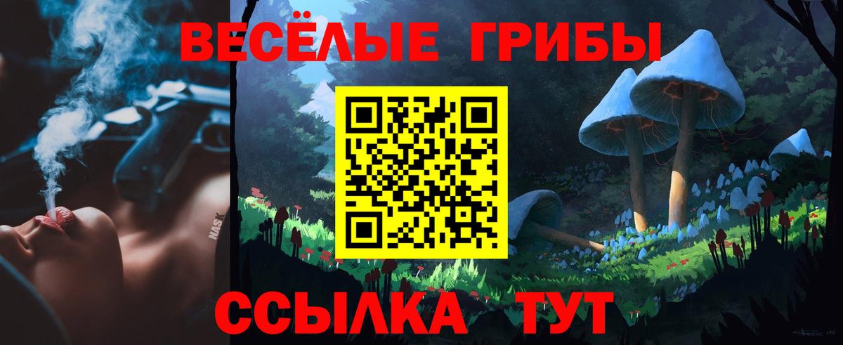 Галлюциногенные грибы Magic Shrooms  Вход с VPN  Псилоцибиновые грибы мицелий  Кропоткин 